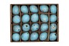 EGGS KWARTEL AQUA BLAUW 2.5X3.5CM PER 60 STUKS