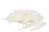 PLUMES MARABOU CRÈME PAR 95 GRAMMES