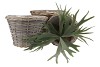 WICKER POT BASKET ROUND GREY 35X25CM