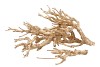 NATUUR CURRY BUSH GOUD PER 500 GRAM