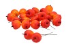 PICK APPEL ORANGE 4X10CM ON WIRE P/36