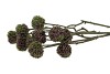 SILK SCABIOSA TAK LILA 68CM NM