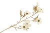 SILK MAGNOLIA GOLD WHITE 74CM NM