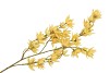 SILK CLEMATIS TAK YELLOW 63CM NM