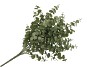 SILK EUCALYPTUS GREEN 47CM NM