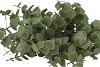 SILK EUCALYPTUS GREEN 47CM NM