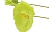 SILK PAPAVER 2X GREEN 96CM NM