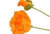 SILK PAPAVER 2X TAK LIGHT ORANGE 96CM NM