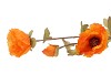 SILK POPPY 3X ORANGE 76CM