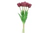 SILK TULIP BOUQUET PAPAGAYO 5X MAUVE 39CM