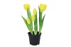 SILK TULIP IN POT 5X YELLOW 26CM NM