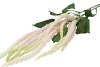 SILK AMARANTHUS WHITE 132CM NM