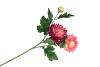 SILK CHRYSANT FUCHSIA 71CM NM