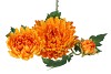 SILK CHRYSANT ORANGE 71CM NM