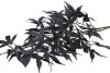 SILK MAPLE LEAVES BLACK 108CM NM