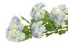 SILK VIBURNUM 5X LIGHT BLUE 87CM NM