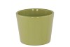 CERAMIC AMAZONE GREEN POT 11CM