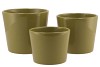 CERAMIC AMAZONE GREEN POT 11CM