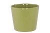 CERAMIC AMAZONE GREEN POT 13CM