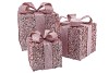 SPARKLE NUDE MIX GIFTBOX WITH LED S/3 25X20CM