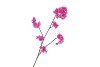 SILK CHERRY BLOSSOM PURPLE 85CM NM