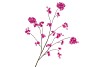 SILK CHERRY BLOSSOM PURPLE 126CM NM