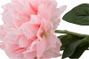 SILK PEONY TAK LIGHT PINK 71CM