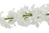 SILK DELPHINIUM TAK WHITE 115CM NM