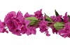 SILK BOUGAINVILLE TAK PURPLE 106CM NM