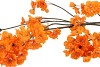 SILK CHERRY BLOSSOM ORANGE 126CM NM