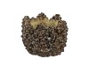 CONCRETE NATURAL PINECONE POT ROUND EDGE 15X15X11CM