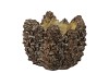 CONCRETE NATURAL PINECONE POT ROUND EDGE 17X17X12CM NM