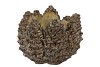 CONCRETE NATURAL PINECONE POT ROUND EDGE 19X19X13CM