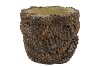 CONCRETE NATURAL PINECONE POT ROUND 19X19X16CM NM