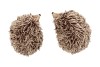 HEDGEHOG WOLLY DUO ASS 13X8X8CM