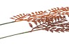 PICK SHINE LEAVES COPPER/BRONZE 51CM ASS PER 12