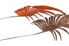 PICK SHINE PALM COPPER/BRONZE 36CM ASS PER 12