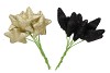 PICK SHINE STAR BLACK/CHAMPAGNE 4X7CM ASS PER 96