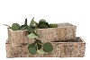 BIRCH PLANTER RECTANGLE S/2 30X8X7 / 45X12X9CM