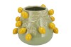 FRUIT LEMON PISTACHE POT 24X19CM NM