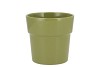 CERAMIC AMAZONE GREEN POT ORCHID EDGE 13CM