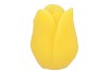 CANDLE TULIP YELLOW 10X13CM NM