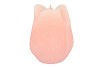 CANDLE TULIP WHITE PINK10X13CM NM