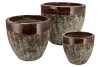 JADE BROWN 2TONE EGG SET 3 22X21/30X26/38X32 NM