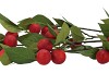 SILK APPLE PLUM CLAUDE RED 90CM