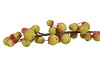 SILK APPLE SENTINEL RED/GREEN 66CM