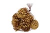 NATURE PINECONE GOLD GLITTER  ASS P/12