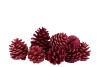 NATURE PINECONE FUCHSIA/PINK GLITTER  ASS P/12