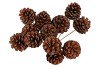 PICK NAT PINECONE NATURAL 50CM ASS P/12