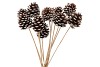 PICK NAT PINECONE NATURAL WHITE 50CM ASS P/12